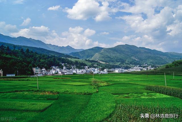 中国凉都是哪个城市，中国凉都的是哪个城市（中国10个顶级避暑城市）
