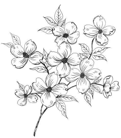 简单的花怎么画，如何画小花花简笔画（一朵花，简单的几笔就可以了）