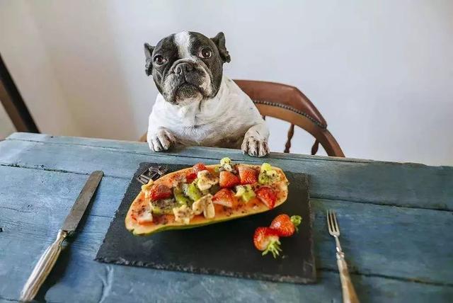 狗狗能吃盐吗，一天最多能吃多少盐，狗狗能吃盐吗（狗狗并非不能摄入食盐）