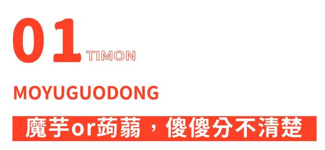 蒟蒻果冻怎么读，蒟蒻怎么读（15款魔芋果冻评测）