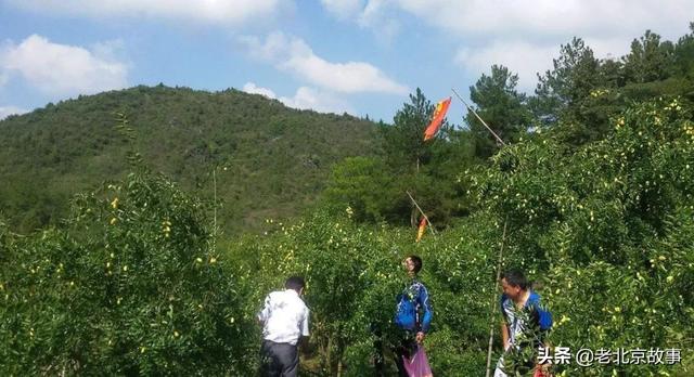 二椅子是什么意思啊，二椅子是什么意思（北京人过得讲究）