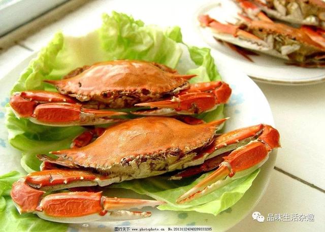 广东湛江白切狗做法酱料做法，湛江白切狗是怎样煮的（<美食>评选出炉了）