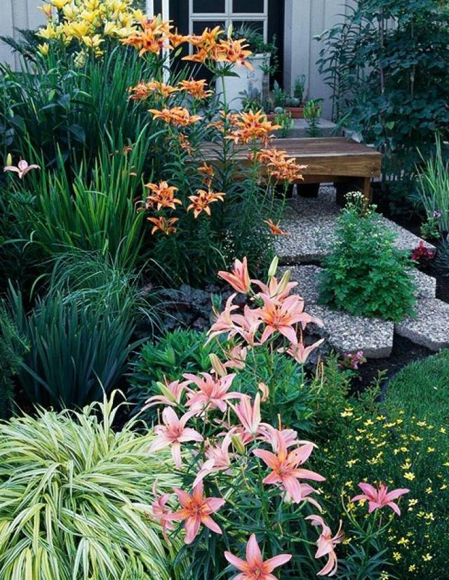 百合玫瑰花束的寓意，百合和玫瑰的花束寓意是什么（2个月就开花）