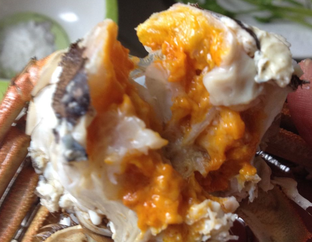 豆腐蟹肉忌廉汤，蟹肉豆腐煲的做法窍门（最爱的蟹黄和豆腐碰撞）