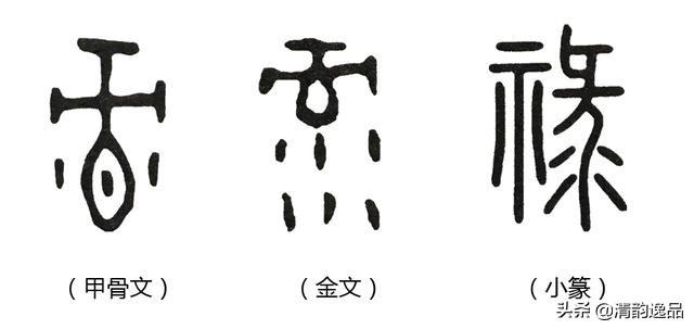 禛怎么读，羲怎么读 拼音（《说文解字》第三课）