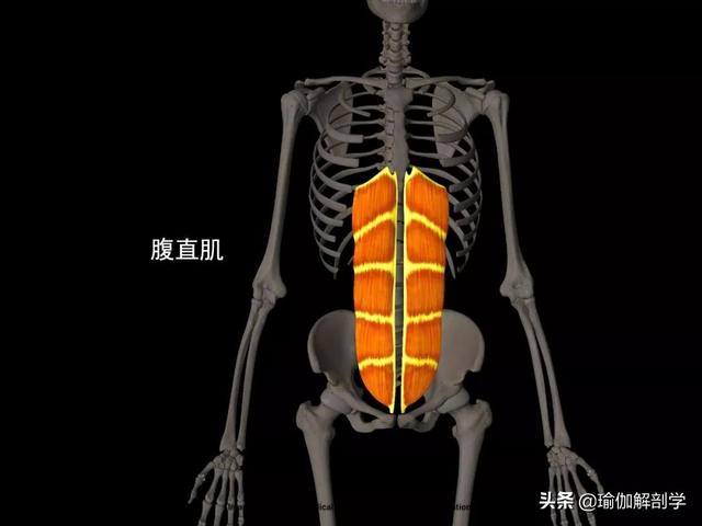 瑜伽减肥瘦腰方法，瑜伽减肥瘦腰方法图解（4个简单瑜伽动作每天躺着练）