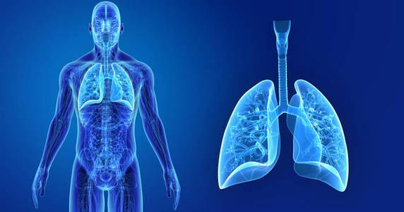 甘露聚糖酶，甘露聚糖酶生产厂家（LCH具有较明显的异质性）