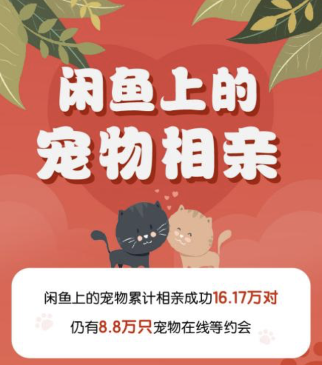 宠物婚介也很暴利，能赚多少你说了算，宠物婚介的主要特征（从官园到闲鱼的“它相亲”蓬勃发展的细分市场）