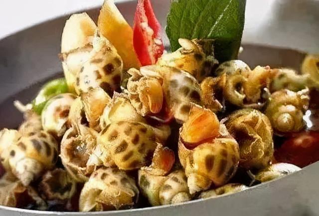 花螺怎么做，花螺要怎么煮（小花螺入味好吃但是并不好做）