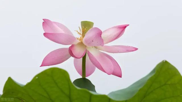 陈鲁豫的语录，陈鲁豫经典语录（陈鲁豫《还是要相信》）