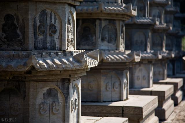 托马斯杨是谁，托马斯杨是第一个研究（一个几乎“全知”的人）