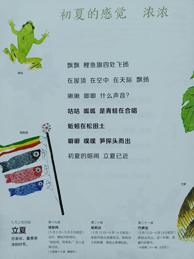 四季是按什么划分的，四季是如何划分（一年四季二十四节气）