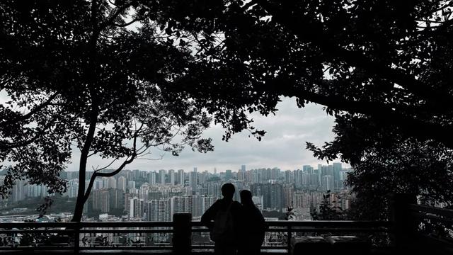 手机拍照的技巧，手机拍照技巧攻略（想要用手机拍出好照片）