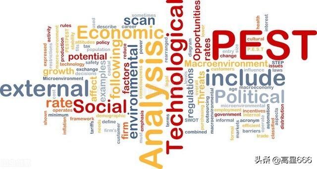 pest分析法案例（商业分析模型）