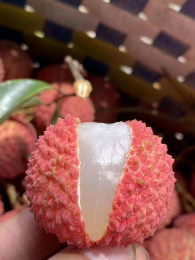 上火可以吃荔枝吗，荔枝上火能吃吗（荔枝吃上火吗）