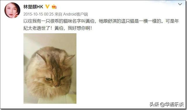 黄家驹生前女友是谁，乔任梁女友（与黄家驹“曾经拥有”的她）