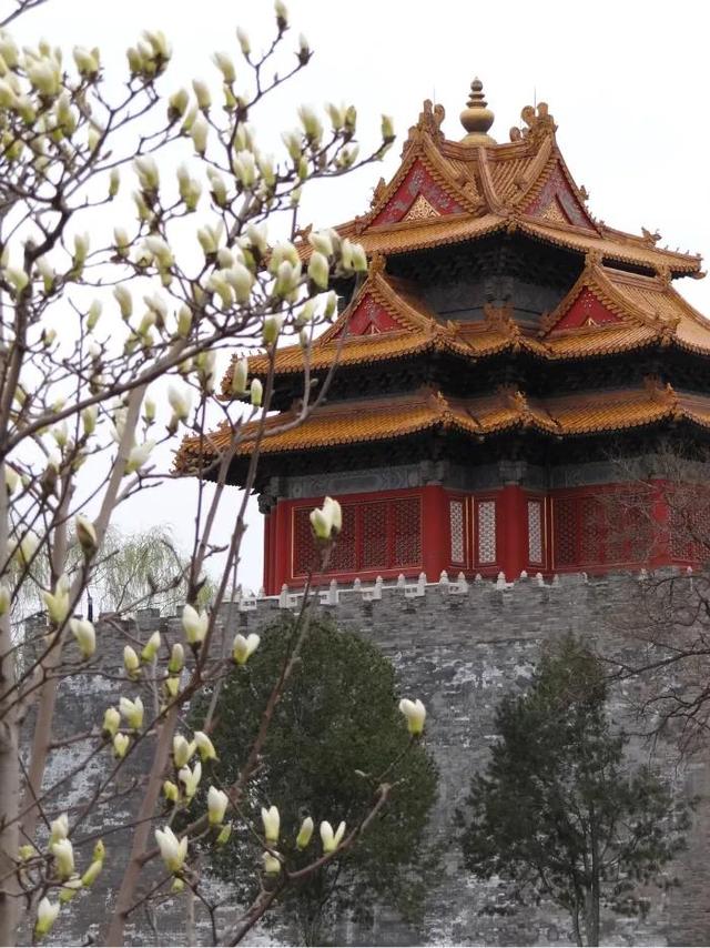 北京故宫的资料，北京故宫的资料简介400字（首都北京 故宫介绍）