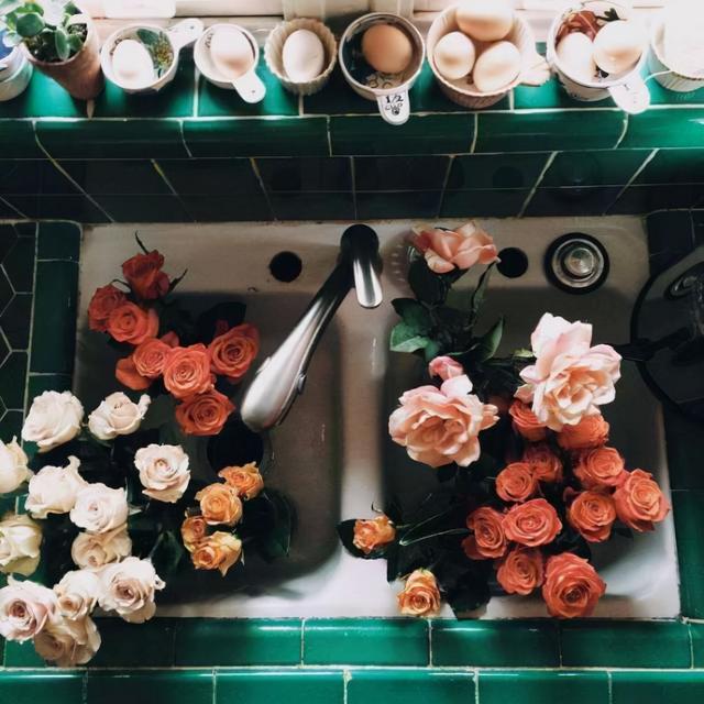 100句阳光的句子，阳光 的句子（阳光短句子：生活给了你阴影）