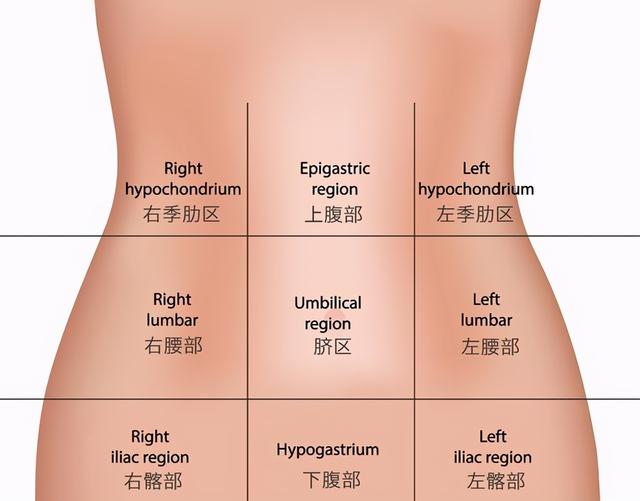 腹部九分法介绍，左侧腹部疼痛，是哪些病引起的