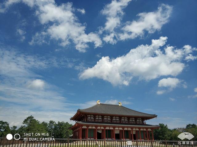 国航最高级别什么卡，国航白金卡什么级别（经济舱也能享受贵宾室、提前选座等权益）