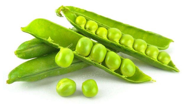 狗狗可以吃的蔬菜排名，狗能吃蔬菜种类（对狗狗有益的6种蔬果）