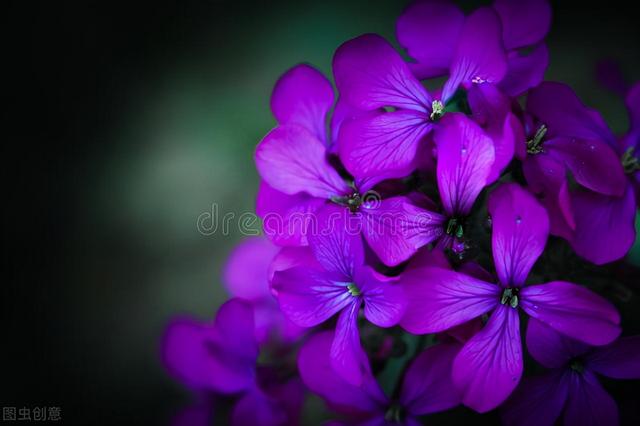 诚信让生活更美好作文，诚信让生活更美好作文500字（《诚信之美》<秦越>）