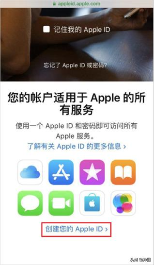 potato是什么软件，Potato—一款你值得了解的社交软件