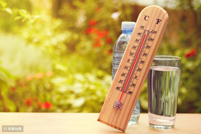 荷叶的功效与作用，决明子的功效与作用（瘦身灵药之荷叶）