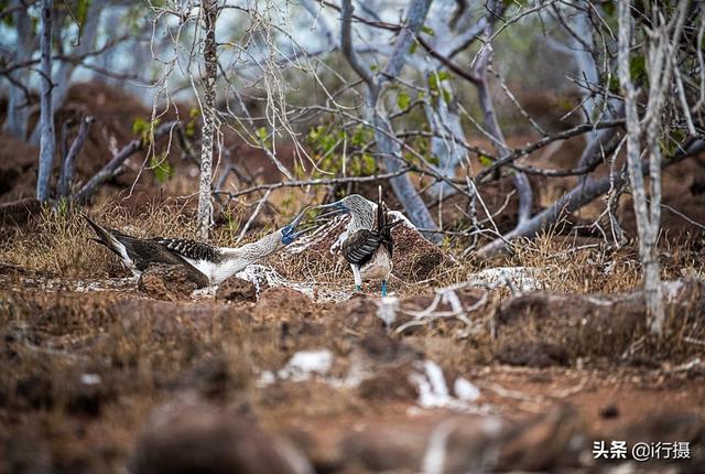 厄瓜多尔在哪里，厄尔多瓜具体在哪里（走进厄瓜多尔——世界上唯一以“赤道”命名的国家）