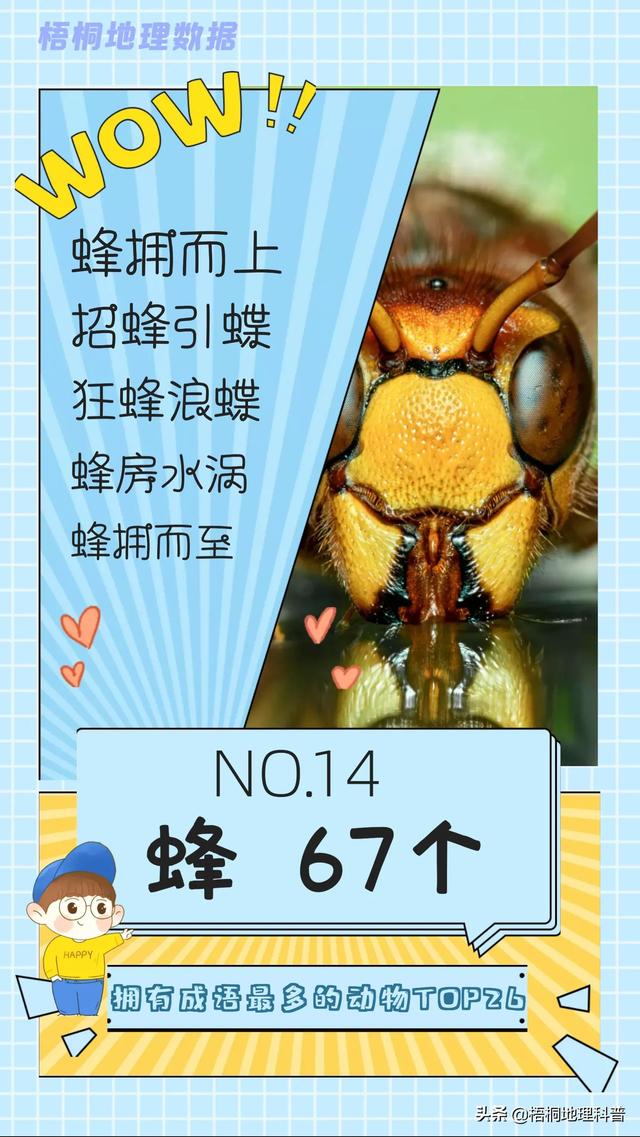 关于猫的词语有多少个，关于猫的词语有多少个词语（盘点哪种动物拥有的成语最多）