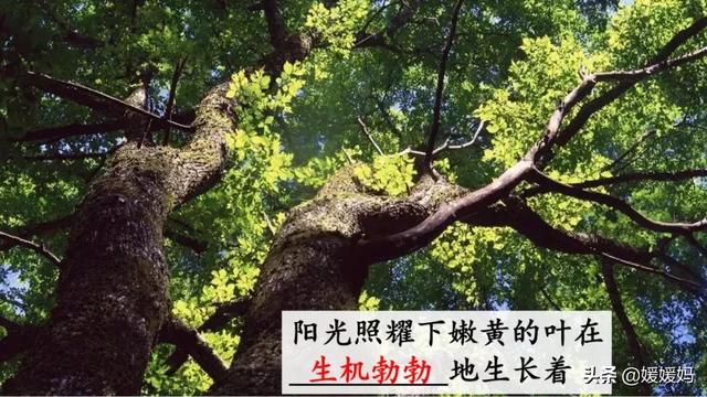 我一生中的重要抉择生字词拼音，登时的拼音（登时的拼音与意思）