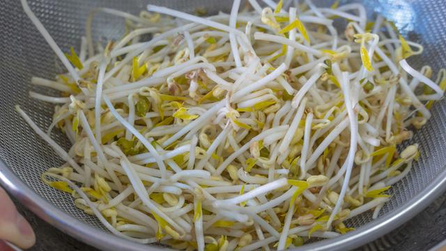 豆芽炒多久能熟，炒豆芽做法（在家发豆芽原来这么简单）