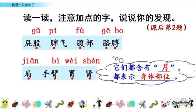 呀组词，呀的多音字组词（二年级下册语文课文11《我是一只小虫子》图文详解及同步练习）