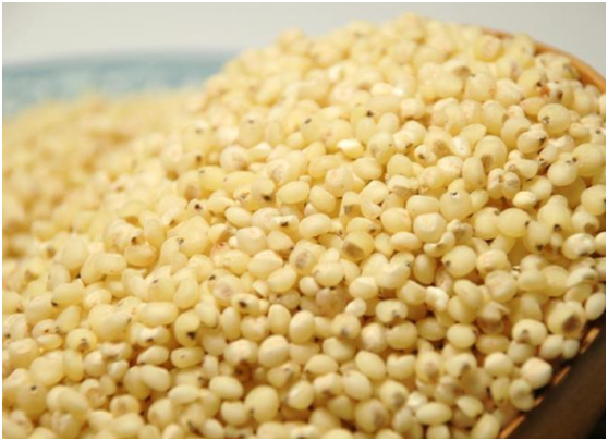 社稷是什么意思,社稷的稷是什么 - 玉三网