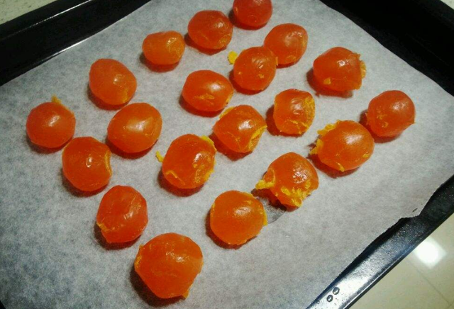 泰迪吃什么食物好，泰迪吃什么食物最好（泰迪越吃越健康）