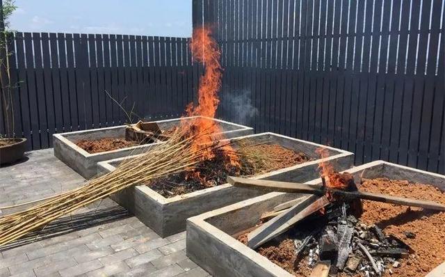 虫害防治新窍门，叶子油绿没有黑点了