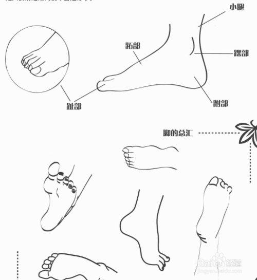 人物漫画入门教程图解，初学者零基础漫画手绘教程2