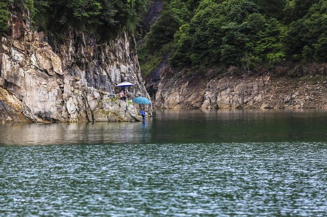 螺蛳青市场价多少钱一斤，50斤螺蛳青一般多少钱（武汉木兰湖140斤的“青鱼王”被捞起）