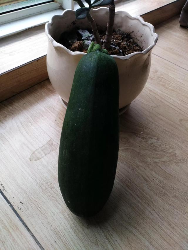 舍什么求什么成语，舍什么的求什么的四字成语（舍近求远）