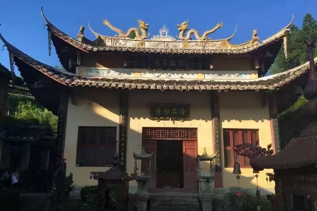 大悲水治病的方法，怎样制作大悲水治病（师父自种，听着佛乐长大的茶）