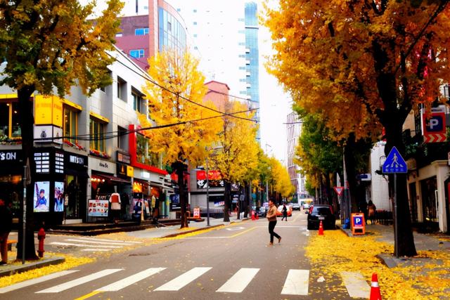 韩国好玩的十大旅游景点，韩国旅游景点（一起看看韩国真实的样子）