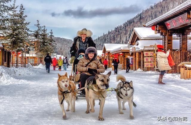 东北三宝人参鹿茸和啥，东北三宝是哪三宝（我国公认度最高的“东北三宝”）
