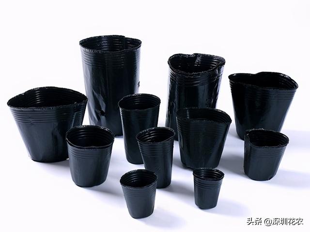 5加仑等于多少升，一桶5加仑等于多少升（关于花盆的常见尺寸问题）