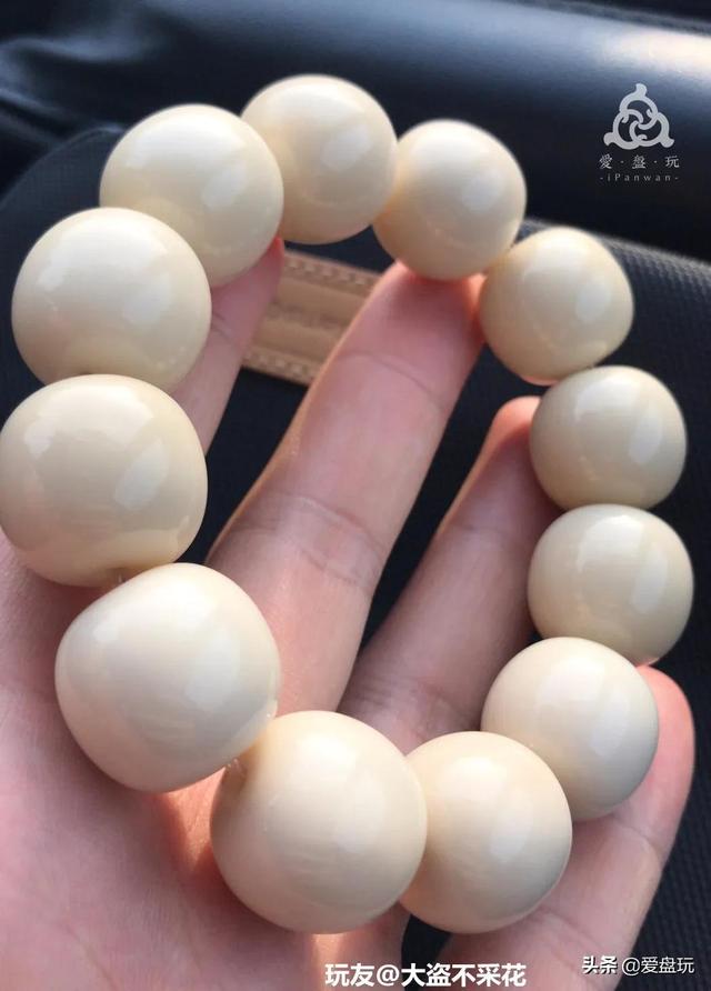 象牙果是什么东西，象牙果是什么东西（真的入手生润）