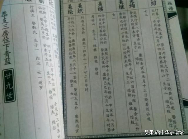 家谱辈分怎么排，族谱里的字辈怎么排（家谱的字辈，值得被重视起来吗）