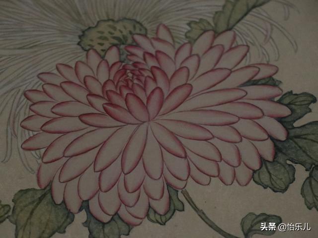 葩的读音（葩怎么读，葩是什么意思（金佛座、搓粉妆、绶带紫、鹤头丹）