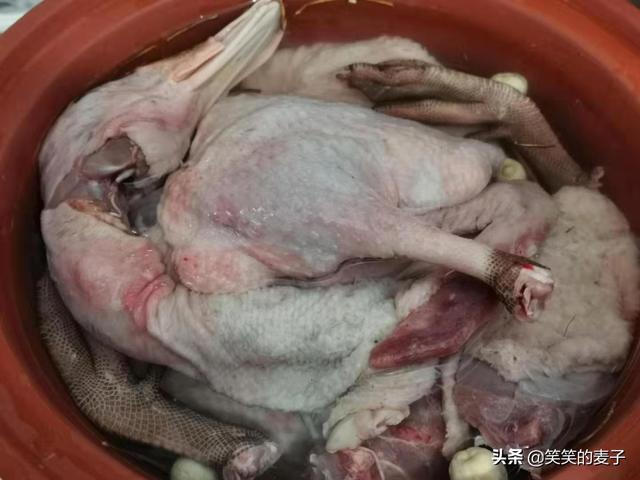 鸡骨草煲汤的做法，鸡骨草配什么煲汤好（炖出来的汤真好喝）