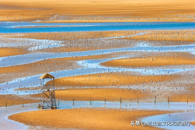 秦皇岛旅行社（畅游秦皇岛）