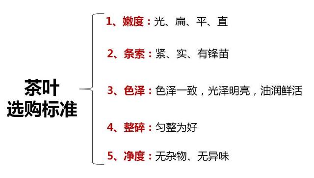 茶的起源，下午茶的起源（中国茶学入门知识——茶叶的起源与发展历程）