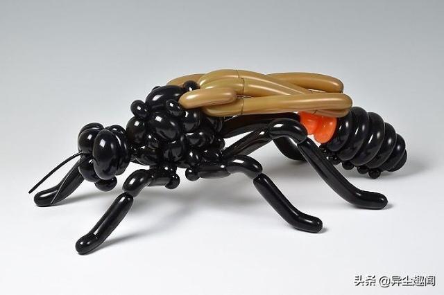 用气球做小动物教程，教你用气球做小狗的方法（日本艺术家用气球制作了令人难以置信的动物模型）